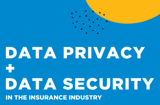 Data Privacy and Security in the Insurance Industry